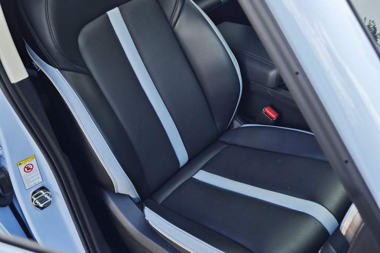 Used Tank 300 2021 2.0T Monet Tribute Limited Edition