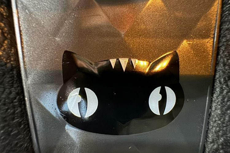 Used ORA Black Cat 2022 351 km HelloKitty Collaboration Edition Lithium-Ion Battery
