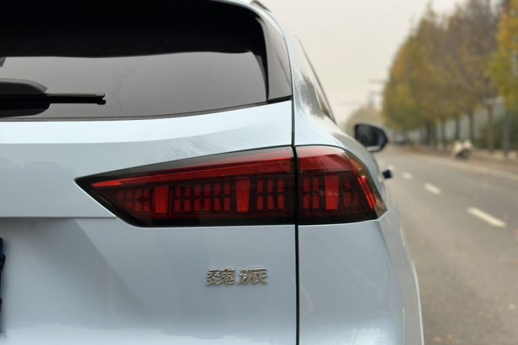 Used Wey Mocha 2021 2.0T Two-Wheel-Drive Premium Edition
