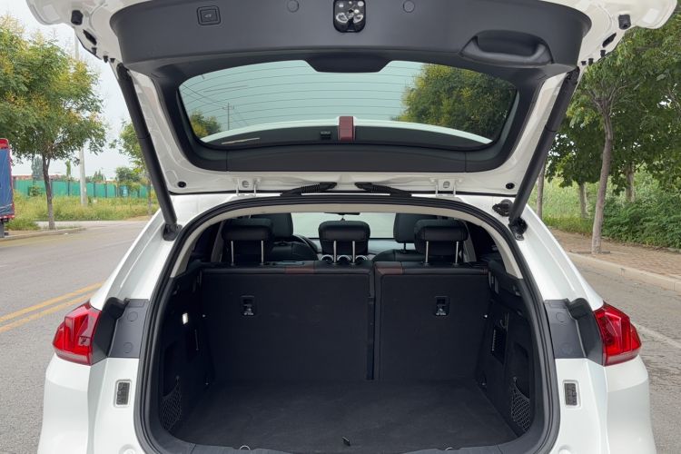 Used Wey VV5 2020 1.5T Two-Wheel Drive Smart Pioneer