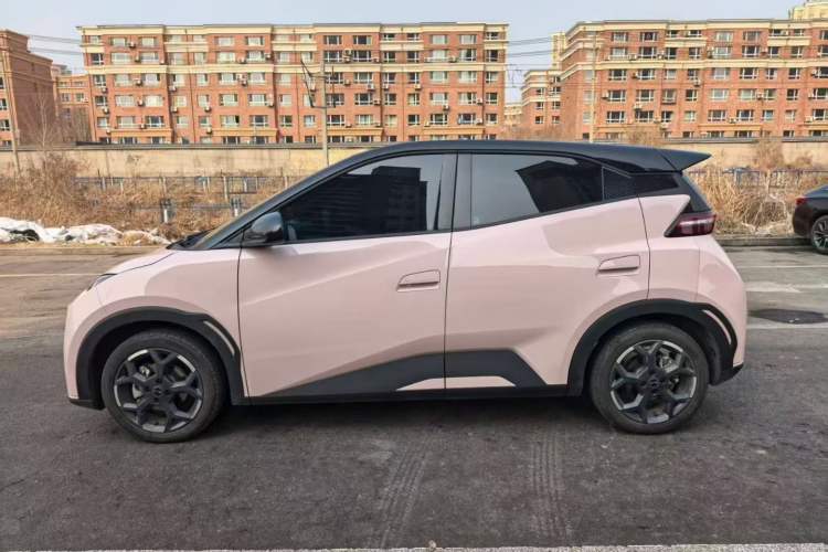 Used BYD Seagull 2025 305 km Free Version