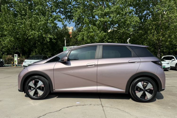 Used BYD Dolphin 2023 420 km Fashion Edition Exterior 5