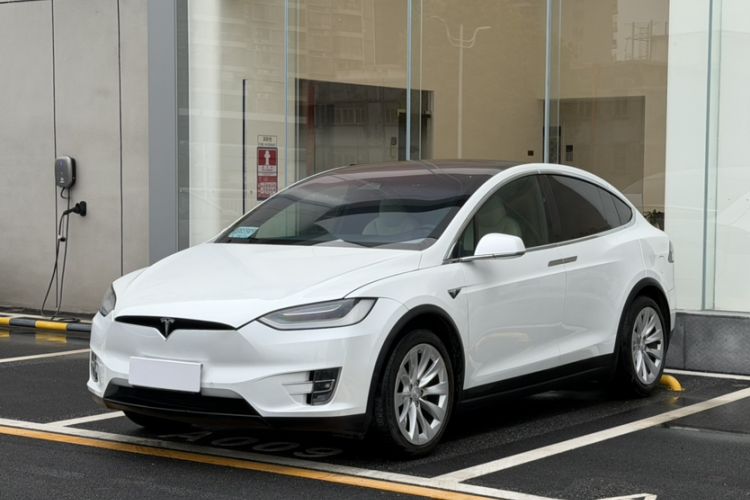 Used Tesla Model X 2019 Long-Range Version
