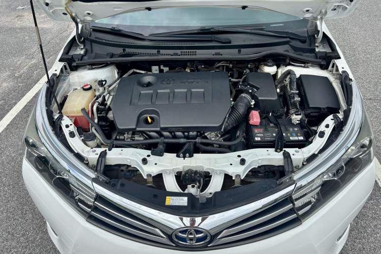 Used Toyota Corolla 2014 1.6L CVT GL Exterior 10