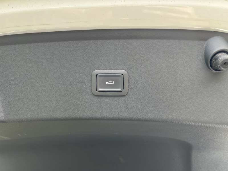 Used Hongqi H6 2024 2.0T ZhiMei Edition — 46