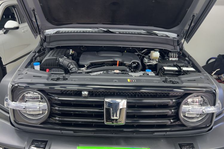 Used Tank 300 2021 Off-Road Edition 2.0T Conqueror Exterior 1