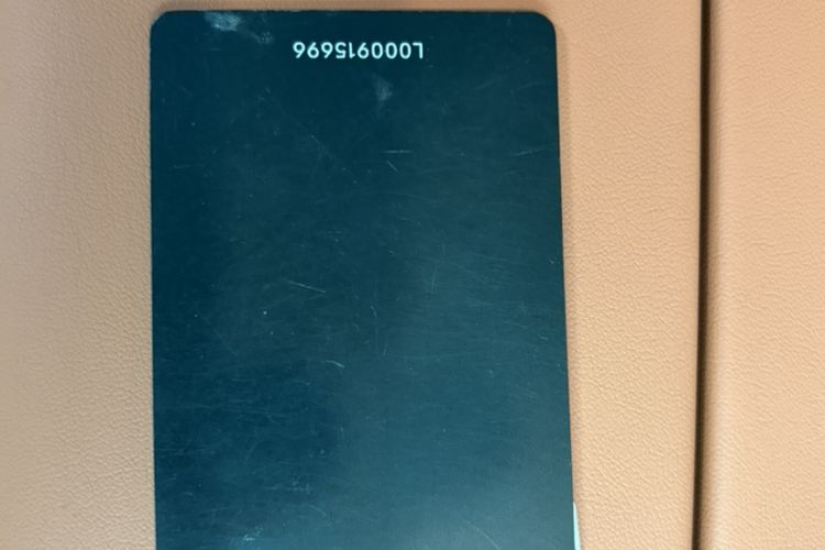 Used ONVO L60 2024 60 kWh Rear-Drive Version