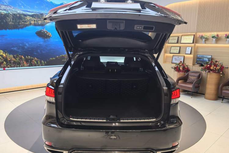 Used Lexus RX 2020 Revised Version 300 Four-Wheel Drive F SPORT