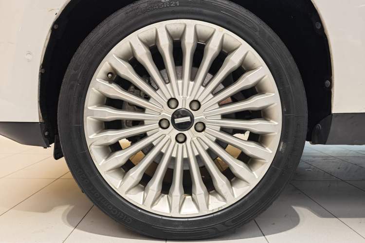 Used Wey P8 2018 2.0T Flagship Model