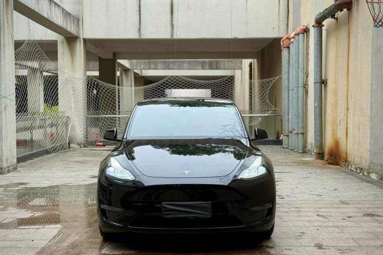 Used Tesla Model Y 2021 Standard Range Rear-Wheel Drive Version
