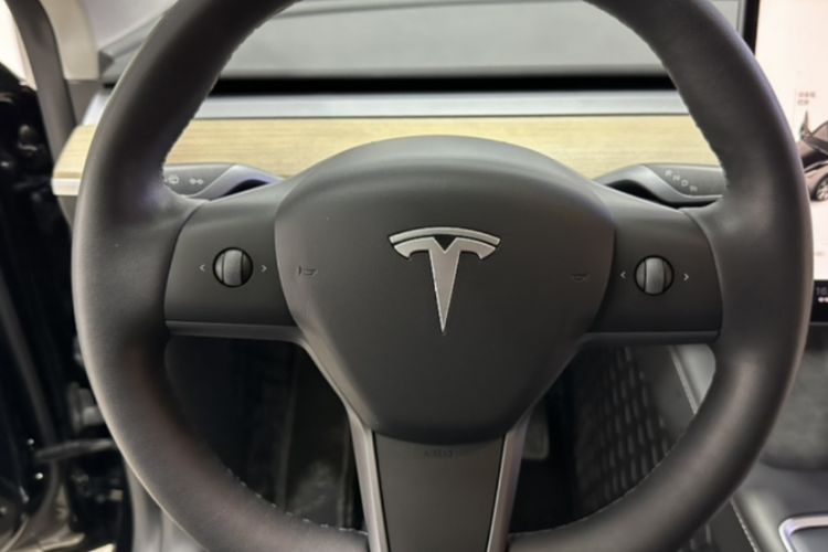 Used Tesla Model Y 2021 Standard Range Rear-Wheel Drive Version
