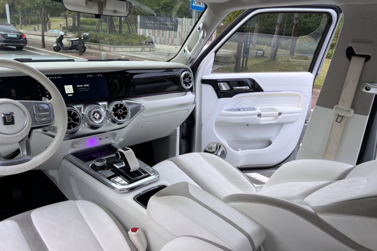 Used Cyberspace Tank 300 2021 2.0T Cyber Tank
