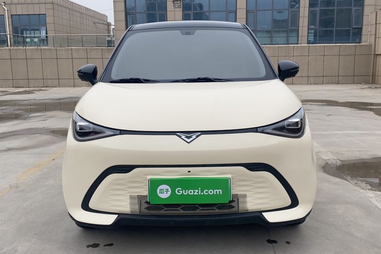 Used Cowin October 2025 Mate 300km Surfing Edition