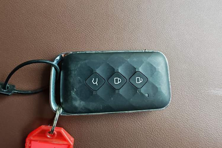 Used Wuling Xingguang S 2024 130 km Flagship Version
