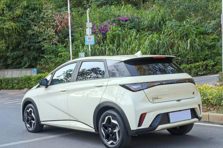 Used BYD Dolphin 2021 405 km Fashion Edition
