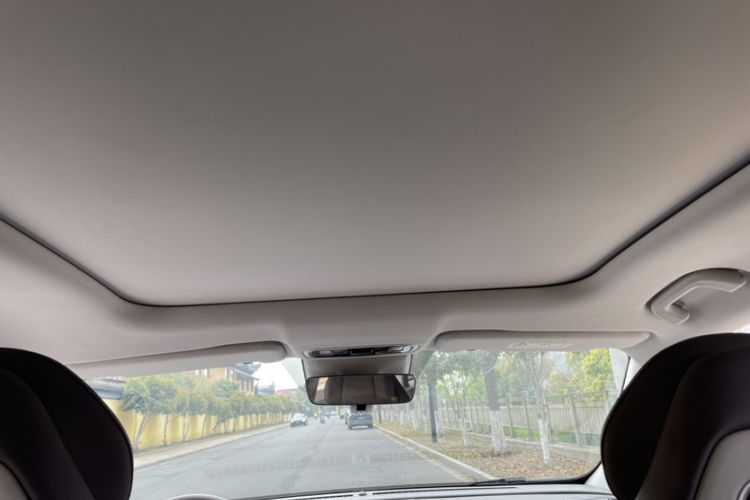 Used Leapmotor C11 2023 Pure Electric 500 Comfort Edition Headliner