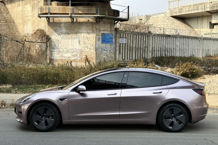 Used Tesla Model 3 2021 Revised Version Standard Range Rear-Wheel Drive Upgraded Edition 3D1