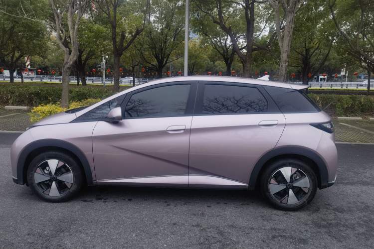 Used BYD Dolphin 2023 420 km Free Version