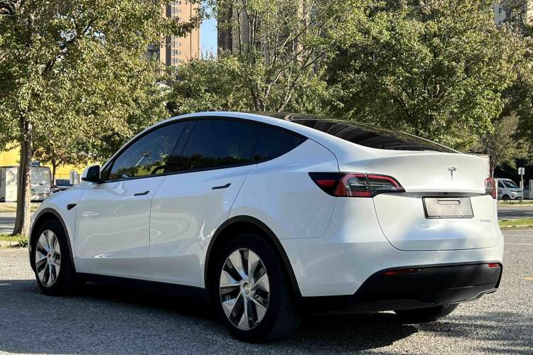 Used Tesla Model Y 2021 Long-Range All-Wheel-Drive Version 3D7