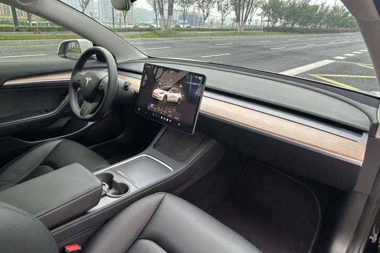 Used Tesla Model 3 2022 Performance High-Performance All-Wheel-Drive Version Exterior 10