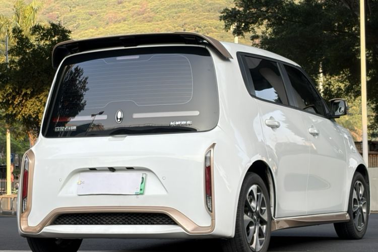 Used ORA White Cat 2022 Xiaoyue Mao Edition 360 km Luxury Model Lithium NMC