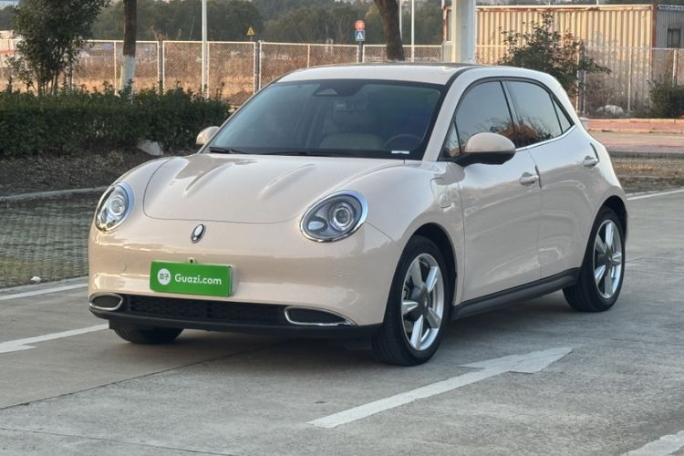 Used ORA Good Cat 2023 401 km Standard Range Luxury Version Lithium Iron Phosphate