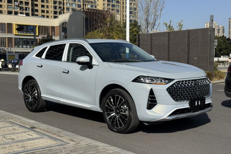 Used Wey Mocha 2021 2.0T Four-Wheel Drive Premium Edition