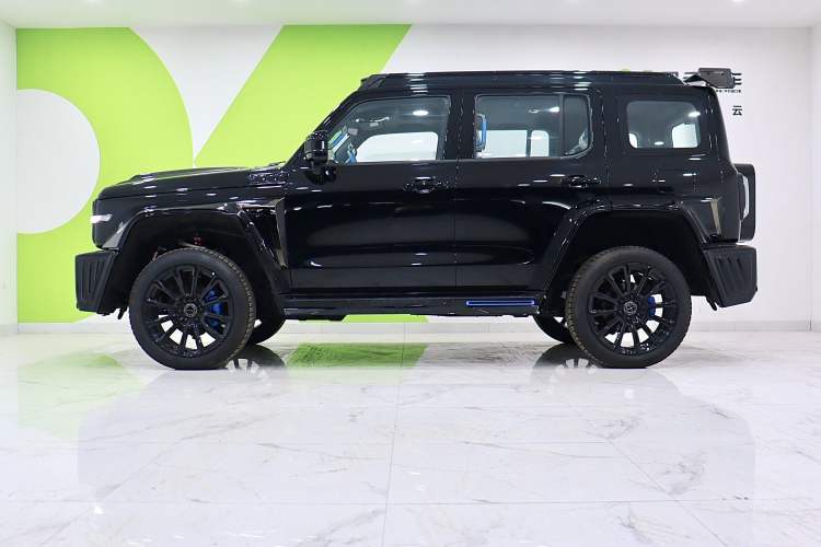 Used Cyberspace Tank 300 2023 2.0T Cyber Knight