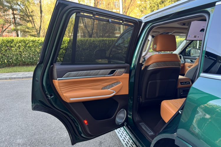 Used Tank 500 New Energy 2026 Model—Hi4-Z Smart Enjoyment Version
