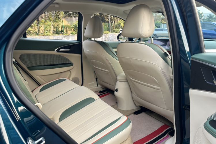 Used ORA Good Cat 2022 Morandi Edition 400km Standard Range Premium Version Lithium Iron Phosphate