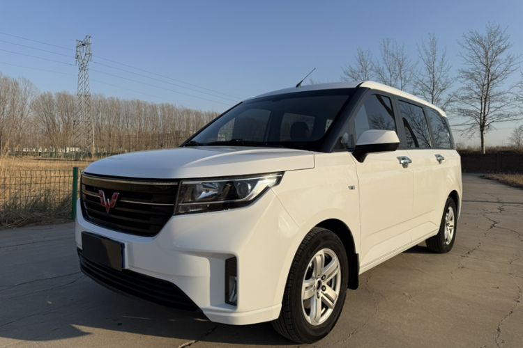 Used Wuling Hongguang PLUS 2019 1.5T Manual Luxury 7-Seater