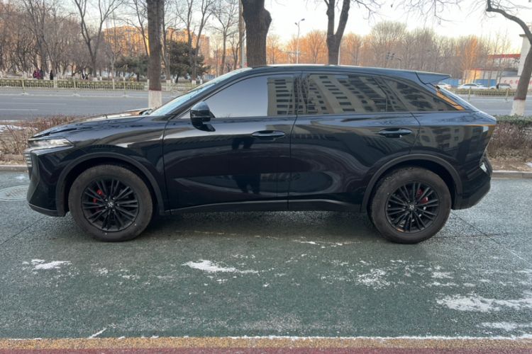 Used Venucia V 2023 260T Black Horse Edition Pro