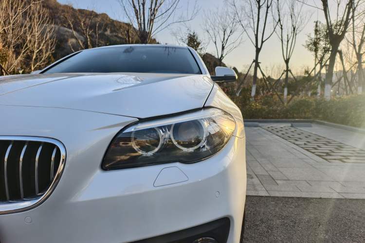 Used BMW 5 Series (Import) 2015 520i Elegant Edition