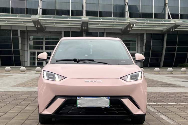 Used BYD Seagull 2023 Flying Edition Exterior 1