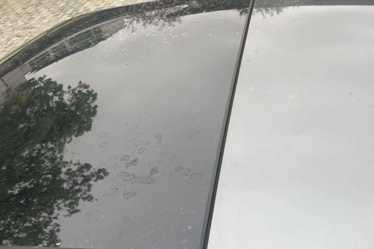 Used Audi A3 2021 Sportback 35 TFSI Enjoy Life Edition Roof