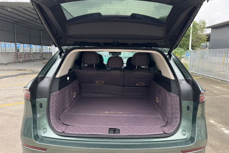 Used Chery Fengyun T10 2024 210 Luxury Edition
