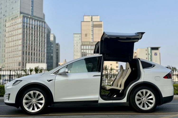 Used Tesla Model X 2019 Long-Range Version