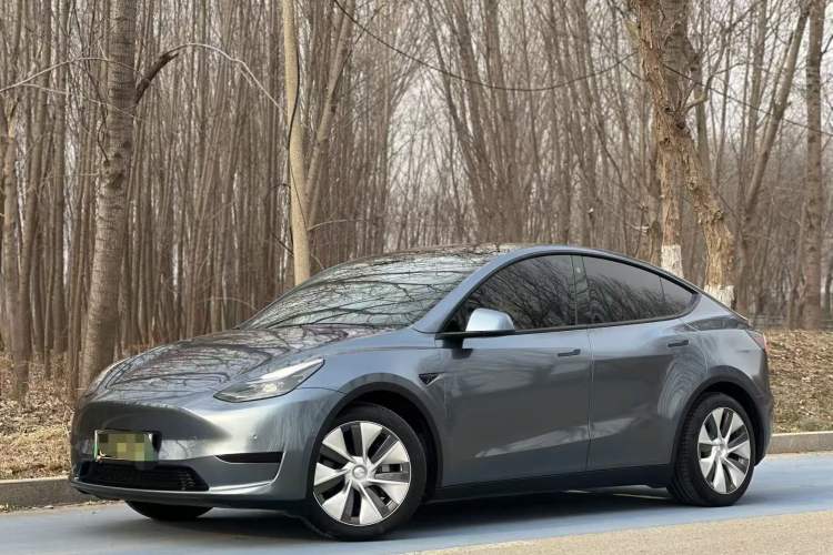 Used Tesla Model Y 2022 Rear-Wheel-Drive Version