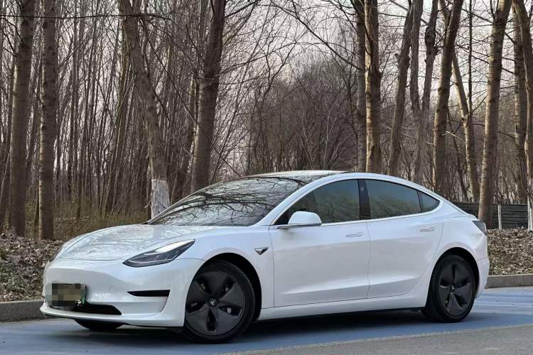 Used Tesla Model 3 (Import) 2019 Standard Range Rear-Wheel Drive Upgraded Version (52 kWh)
