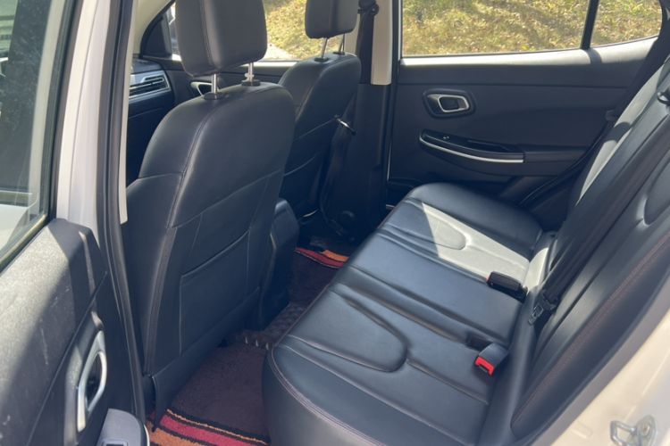 Used Dayun Yuehu 2021 Two-Wheel Drive Standard Version Interior 3