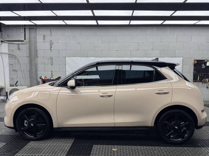 Used ORA Good Cat 2024 401 km Luxury Version 126 kW — 18
