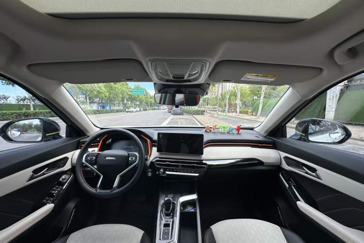 Used Haval LHERY 2021 High-Performance Version 1.5T Golden Rabbit