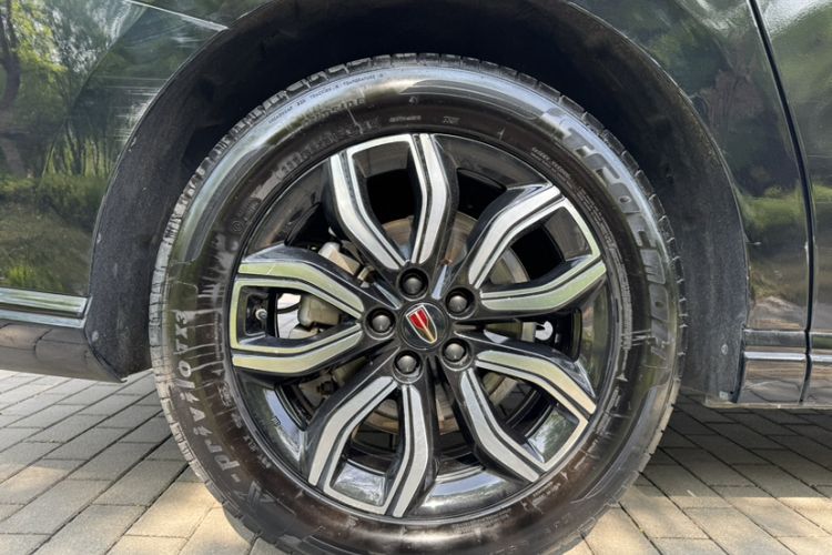 Used Hongqi HQ9 2023 2.0T Smart Connect Flagship Edition Exterior 6