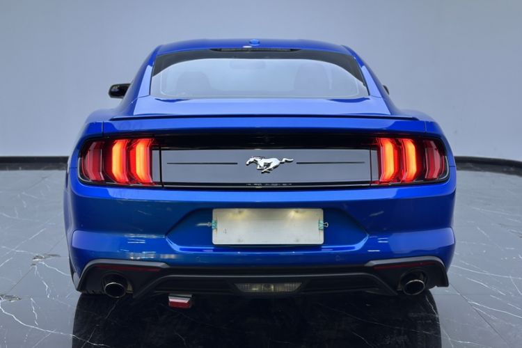 Used Ford Mustang 2019 2.3T Automatic Hardtop Base Version U.S. Specification Exterior 5