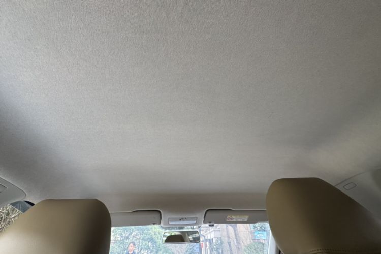 Used Skoda Rapid 2018 1.6L Manual Standard Edition Headliner