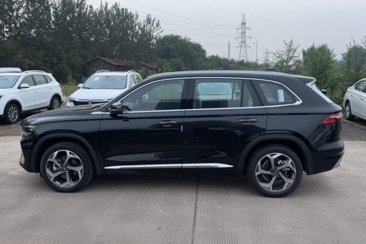 Used Geely Auto Monjaro L 2024 2.0TD DCT EVO Two-Wheel Drive Long-Range Version