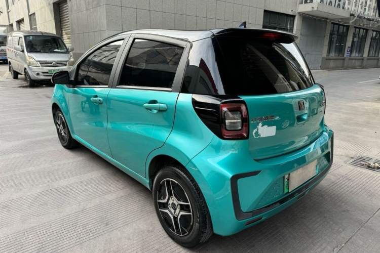 Used SOL E10X 2022 Flower Fairy Design Four-Leaf Clover