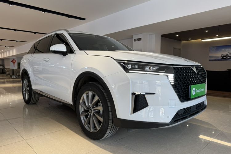 Used Venucia Star 2023 260T Starful Achievement Edition Pro