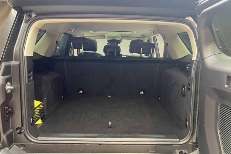 Used Tank 400 2025 2.0T Gasoline Version
