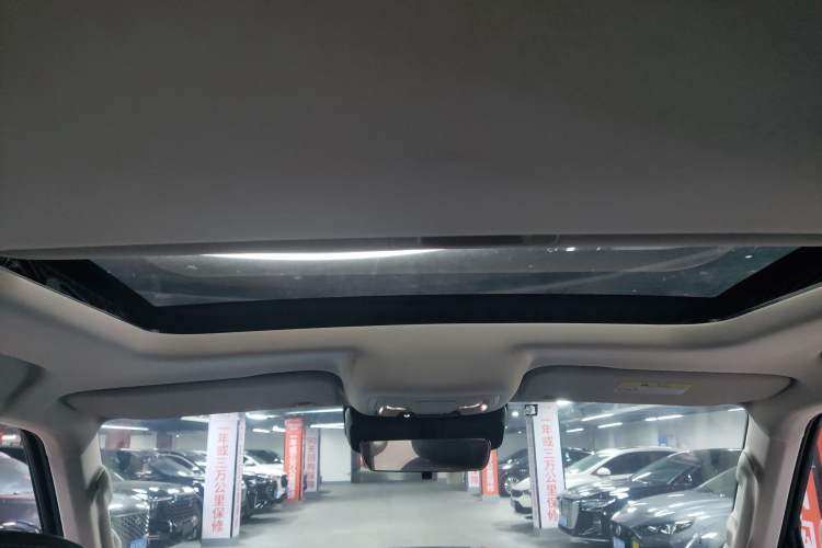 Used Tank 300 2021 Off-Road Edition 2.0T Conqueror Headliner